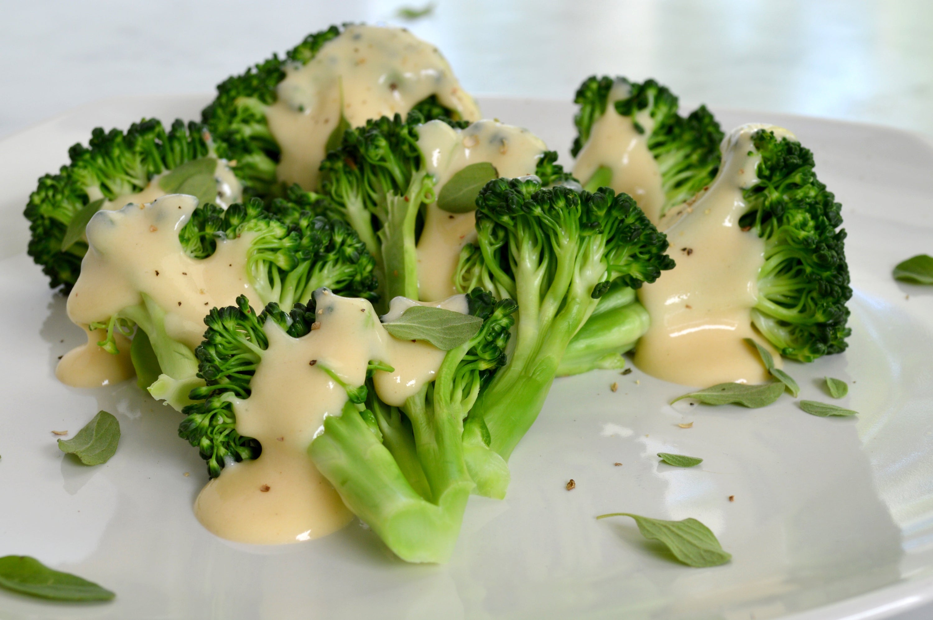 Image of the Creamy Cheese Sauce Recipe