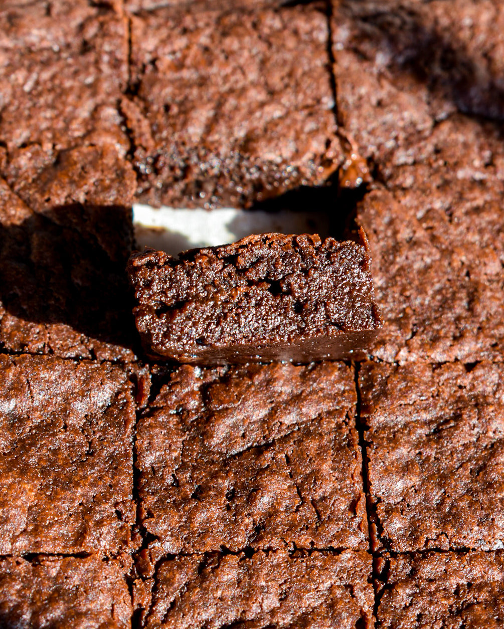 Chocolate Brownie Mix, 16 oz.